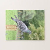 ピジョンダンカンテラスガーデンズアイリントンUK ジグソーパズル (横)