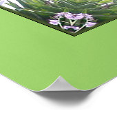 ピジョンネスト ポスター (角)