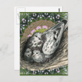 ピジョンネスト ポストカード (正面/裏面)