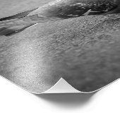 ピジョンフォトプリント フォトプリント            (角)