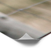 ピジョンポストポスター ポスター (角)