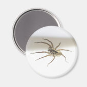 ピスオーラミラオス磁石 マグネット (正面/裏面)