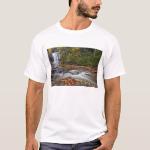 ピスガー国立森林のルッキンググラス滝 Tシャツ