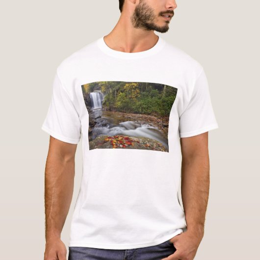 ピスガー国立森林のルッキンググラス滝 Tシャツ (正面)