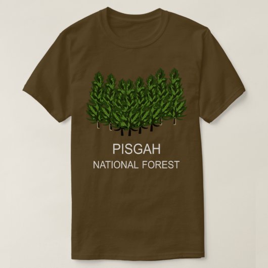 ピスガ国有林10 Tシャツ (デザイン正面)