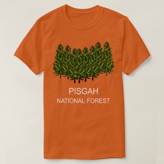 ピスガ国有林1 Tシャツ (デザイン正面)