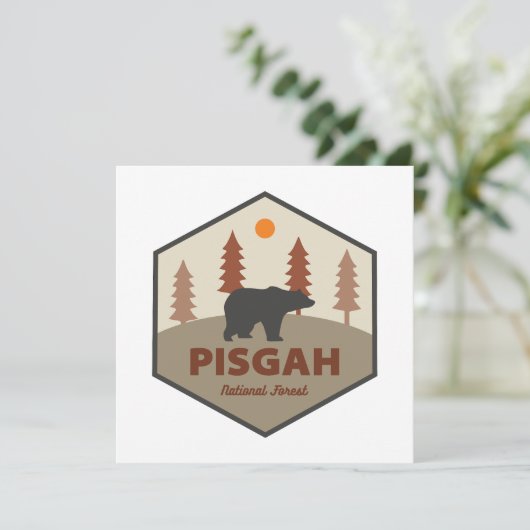 ピスガ国立森林熊 (スタンド正面)