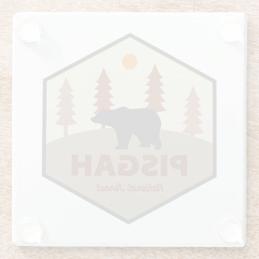 ピスガ国立森林熊 ガラスコースター (裏面)