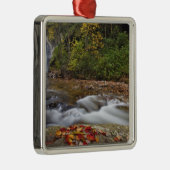 ピスガ·ナショナルの滝を見る メタルオーナメント (右)