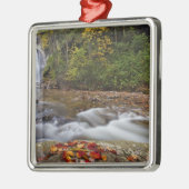 ピスガ·ナショナルの滝を見る メタルオーナメント (左)