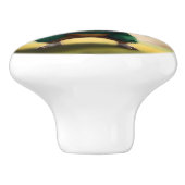 ピスキン・プロディギー：モルモット・クォーターバック、 セラミックノブ (側面)