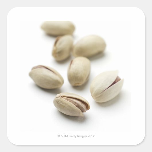 ピスタチオのナッツ。 スクエアシール (正面)
