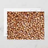 ピスタチオのナッツ ポストカード (正面/裏面)