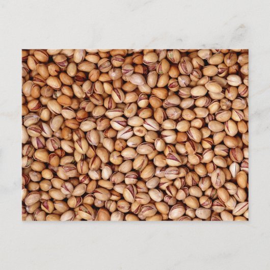 ピスタチオのナッツ ポストカード (正面)