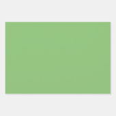 ピスタチオのナットグリーン無地のカラー ラッピングペーパーシート (正面2)