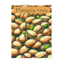 ピスタチオポップ・アートの芸術