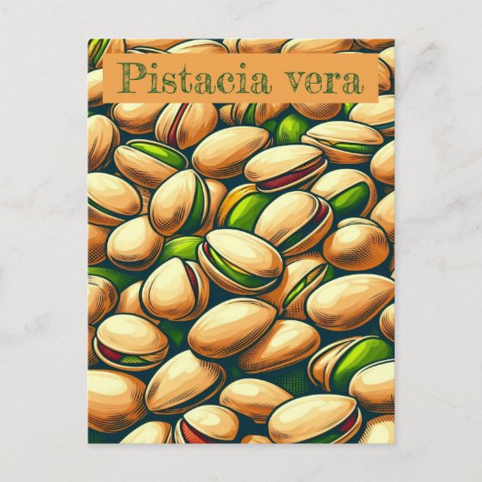 ピスタチオポップ・アートの芸術 ポストカード (正面)