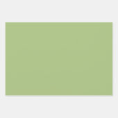 ピスタチオモダングリーンプレーン無地のカラー ラッピングペーパーシート (正面2)