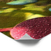 ピスタチオ… ポスター (角)