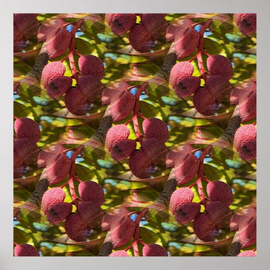 ピスタチオ… ポスター (正面)