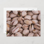 ピスタチオ ポストカード (正面/裏面)