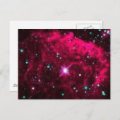 ピストル・スター ポストカード (正面/裏面)