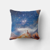 ピスミス24星団 クッション (裏面)