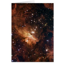 ピスミ24茶色の星NASA