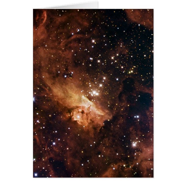 ピスミ24茶色の星NASA (正面)