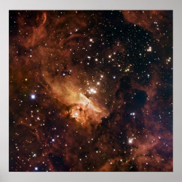 ピスミ24茶色の星NASA ポスター