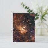 ピスミ24茶色の星NASA ポストカード (スタンド正面)