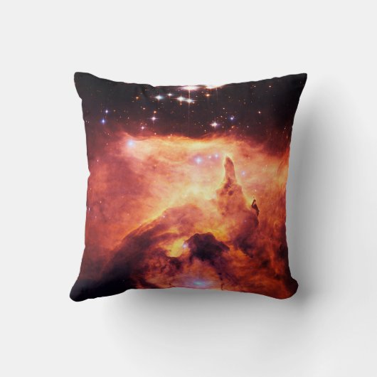 ピスミ24 クッション (裏面)