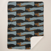 ピセス〔占星術の〕十二宮図星占い シェルパブランケット (正面)