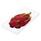 ピタヤフォトマグネット マグネット (左側)