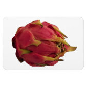 ピタヤフォトマグネット マグネット (横)