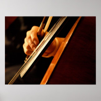 ピチカートのポスター ポスター