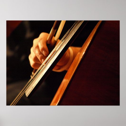 ピチカートのポスター ポスター (正面)