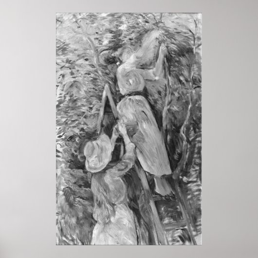 ピッキングさくらんぼ, 1891 ポスター (正面)