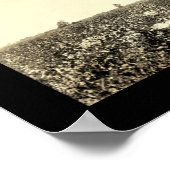 ピッキングコットンフォト1917 ポスター (角)