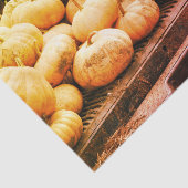 ピックアップトラック上のカボチャ秋ヴィンテージの分離 薄葉紙 (詳細)