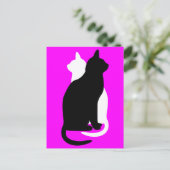 ピックカラー白黒キャットデュオ陰陽スタイル ポストカード (スタンド正面)