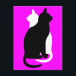 ピックカラー白黒キャットデュオ陰陽スタイル ポストカード<br><div class="desc">2匹のシンプル猫のインでヤンスタイル。この白黒のデュオは、互いに交差しながら反対方向に向き合い、人生のバランスと調和を表すものと考えられている。「クリックit」でカスタマイズは、このシンボルの色の背景オプションにアクセスして探索する。このアートデザインはSD Kelleyによって作成された。</div>