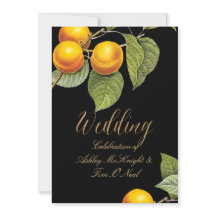 ピックスデザインズ オーチャード/ピーチ/ルードゥ