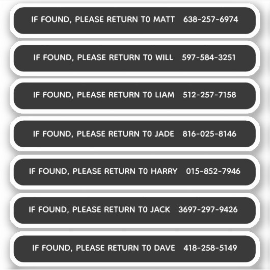 ピックルパーソナライズされたボールパドルの識別 シール (正面)