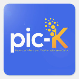 ピック・Kラペル・ピン スクエアシール