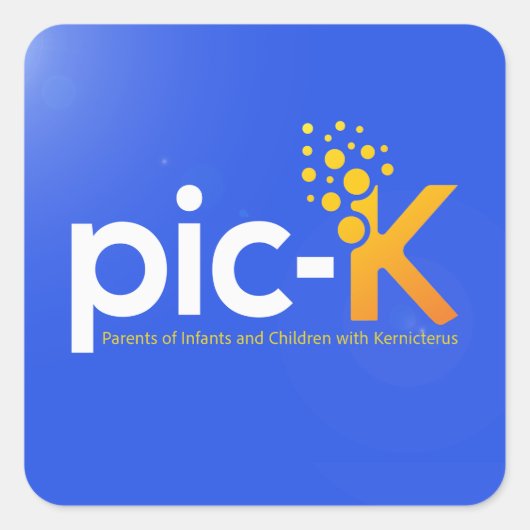 ピック・Kラペル・ピン スクエアシール (正面)