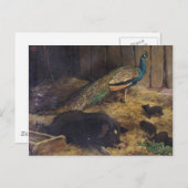 ピッグアンドピーコックbyチャールズ・バートン理容師1878年 ポストカード (正面/裏面)