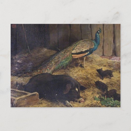 ピッグアンドピーコックbyチャールズ・バートン理容師1878年 ポストカード (正面)