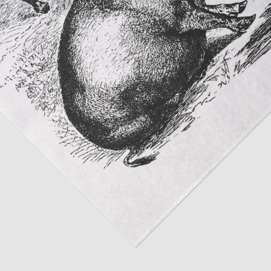 ピッグスエフエマデクページヴィンテージファーム 薄葉紙 (詳細)