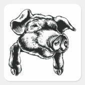 ピッグズヘッドイラストレーション スクエアシール (正面)